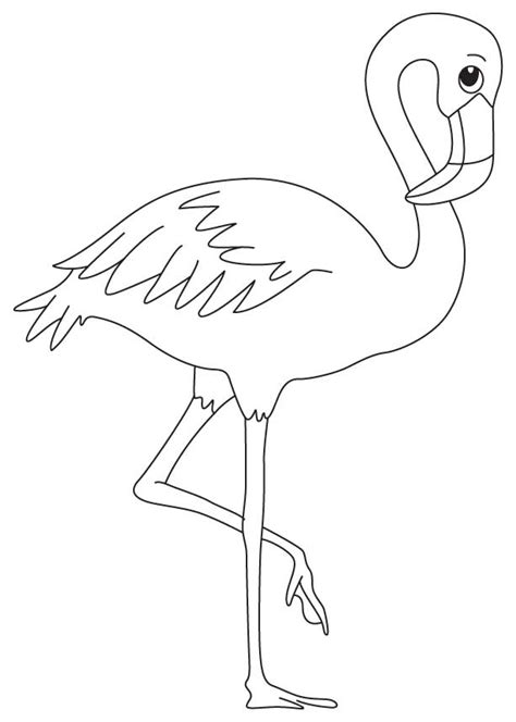 Flamingo Drawing Outline at GetDrawings | Free download