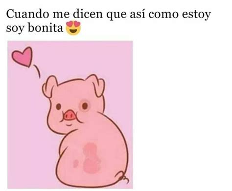 Cerdito Memes Graciosos De Parejas Cerditos Imágenes Graciosas