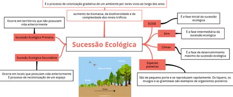 Top 69 Imagen Mapa Mental De La Ecología Viaterra Mx