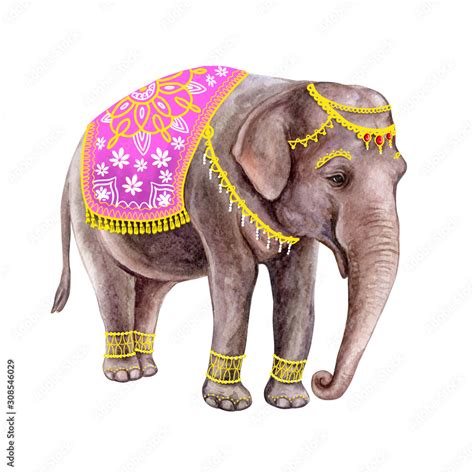 Indian elephant isolated on white background with gold ornaments and ...