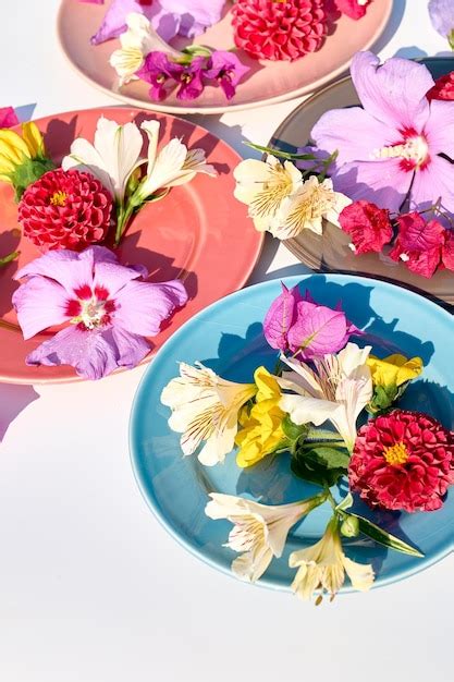 Premium Photo | Colorful plates with fresh flowers isolated on white ...