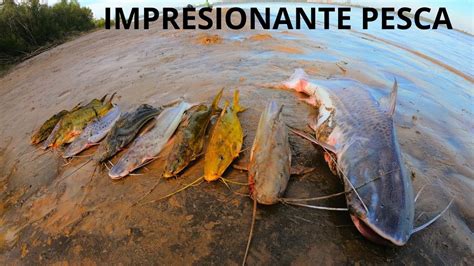 Pesque Un Pescado Gigante De La Costa Terrible Pesca En Este Pozo