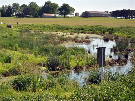 Partner Spotlight The Wetlands Initiative Illinois Sustainable Ag Partnership