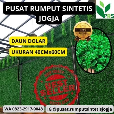 Jual Jual Daun Dollar Pelengkap Rumput Sintetis Dekorasi Rumah Taman