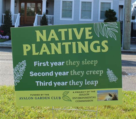 Native Planting Sign – Avalon, New Jersey