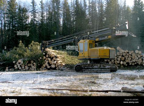 Logging industry Stock Photo - Alamy