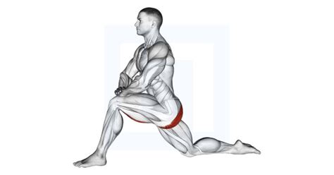 Adductor Stretch - Guide, Benefits, and Form