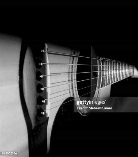 string guitar stock  high res pictures  images