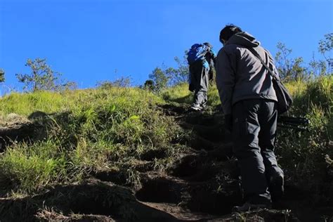 Jalur Pendakian Gunung Gede Kembali Dibuka Jawa Pos