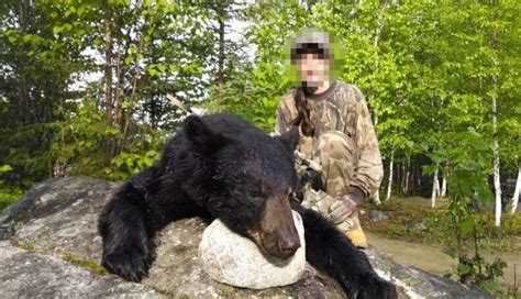 Facebook Cracks Down On Another Trophy Hunter This Time A Bear Killing 12 Year Old Girl The