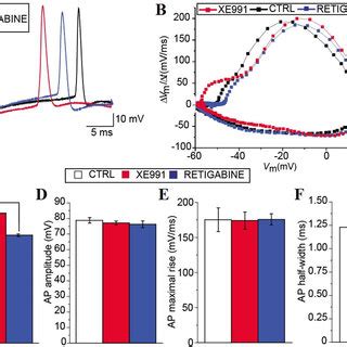 Computer Simulations Of Kcnq K V Channels Modulations In A Neonatal