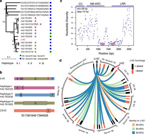 Nature Communications 研究揭示广谱有效的小麦叶锈病抗性基因的克隆！ 知乎