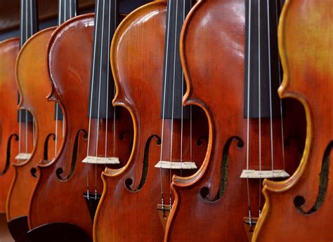 Violin, Viola & Cello Sizing Guide - Musical Instrument Hire Co