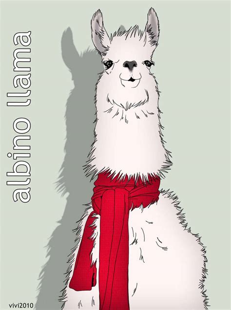 Albino Llama By Litttle Princess On Deviantart