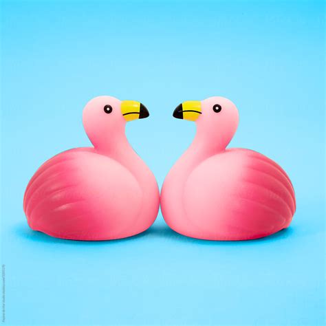 Rubber Flamingos Del Colaborador De Stocksy Pepino De Mar Studio