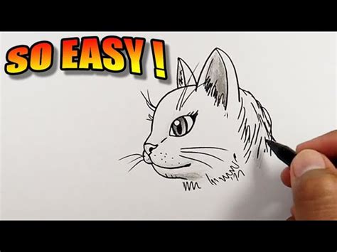 Cat Face Side View Drawing