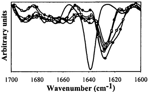 Second Derivative Ir Spectra Of The Insoluble Sma Aggregates Formed Download Scientific Diagram