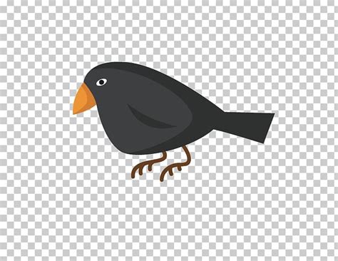 Crows Eating Crow PNG, Clipart, Adobe Illustrator, Animals, Animation, Balloon Cartoon, Beak ...