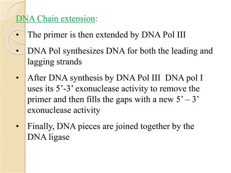 Dna Replication In Prokaryotes Ppt