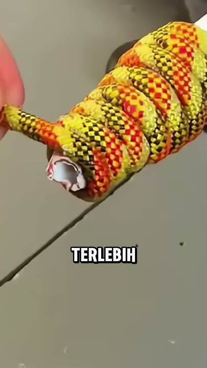 trik pasang slang  pipa paralonshortaidekreatif youtube