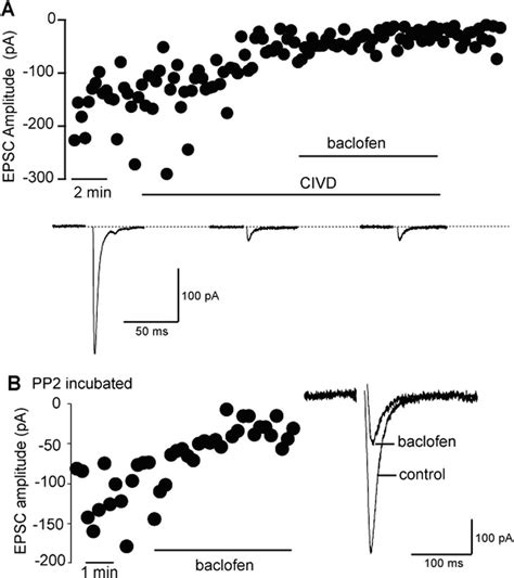 Gaba B Mediated Inhibition Of Parabrachial Cea L Epscs By Baclofen Is Download Scientific