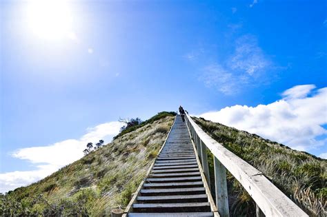 Top Things To Do On Bruny Island Explore Shaw