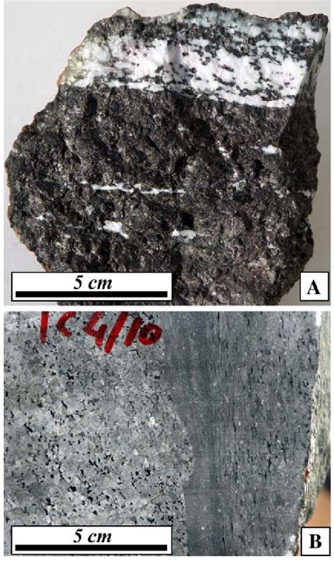 Photographs Of A Pyroxenite Displaying Plagioclase Rich Veins And Download Scientific Diagram