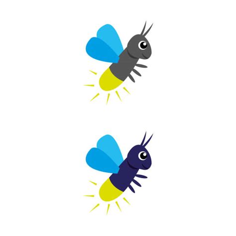 Glowworm Cartoons Illustrations Royalty Free Vector Graphics And Clip