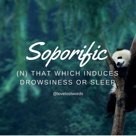 Something That Is Soporific Is Sleep Inducing 💤 From Cosy Nests And Drowsy Medicine To Big