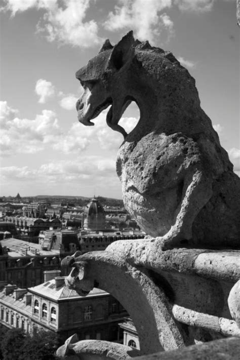 Gargoyle On The Roof Of Notre Dame Dmitry Puzyrev Photography