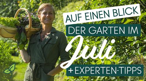 Was Im Juli Im Garten Zu Tun Ist Exklusive Tipps Von