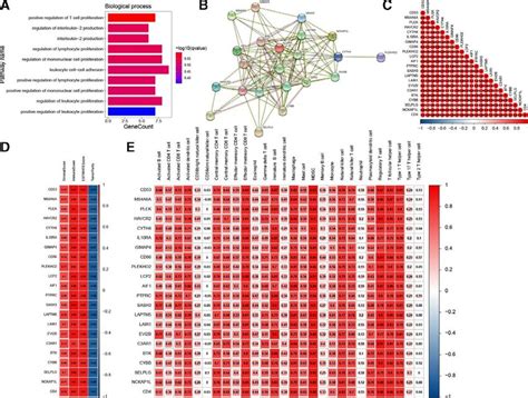 Analysis Of 22 Hub Genes A The GO Analysis Of Hub Genes B PPI