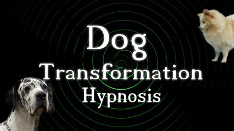 Hypnosis Dog Transformation Youtube