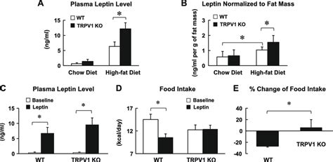 Leptin Resistance In Trpv1 Ko Mice A Plasma Leptin Levels Were