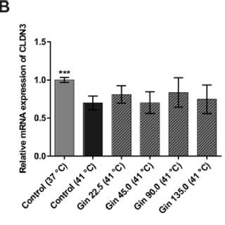 Mrna Expression Of Tight Junction Protein Genes In Caco Cells Grown