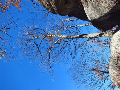 Old Rag Hiking Trail - 121211 Photograph by DC Photographer | Fine Art America