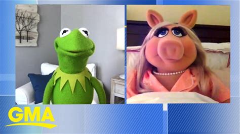 Kermit The Frog And Miss Piggy Talk About Their Show ‘muppets Now On