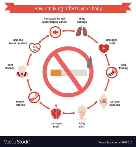 The Effects Of Smoking On Your Body | Healthcare infographics ...