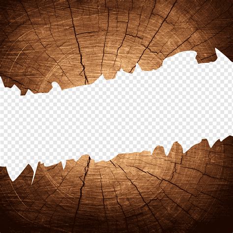 Wood Crack Wood Crack Crack Board Png Pngwing