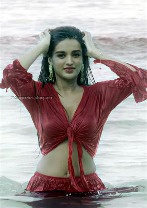 Nidhi Agerwal Ismart Shankar Telugu 6 Hot Hd Caps Indiancelebblog
