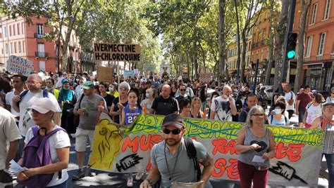 Manifestations Anti Pass Sanitaire Personnes Toulouse Ce