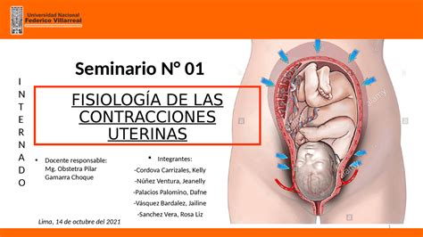 Fisiología De Las Contracciones Uterinas Docsity