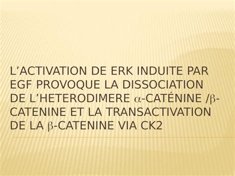 PPT caténine voie Wnt impliquées dans lactivité transcriptionnelle