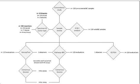 Comparison Of HercepTest MAb PharmDx Dako Omnis GE001 With Ventana