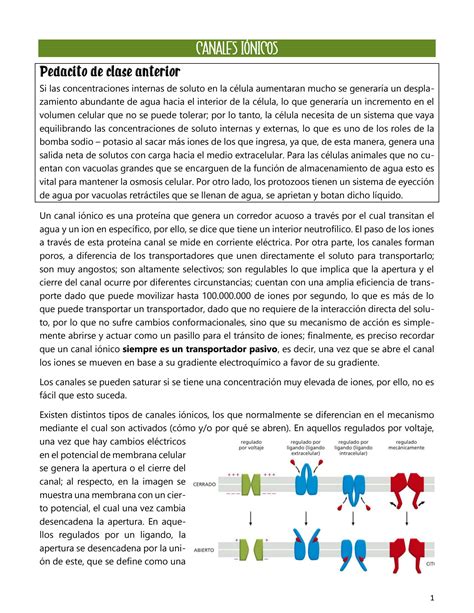 Solution Canales I Nicos Y Propiedades El Ctricas Studypool