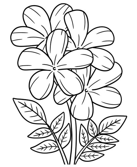 Desenhos De Flores Para Colorir Lindas Op Es Para Escolher E