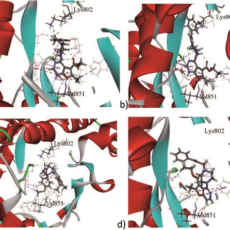 Ad Docking Poses Of The Target Compounds 7a 8b 7b 5a To The ATP