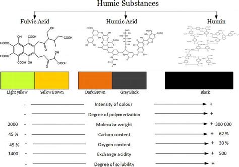 Humic Substances Its Toxicology Chemistry And Biology Associated With