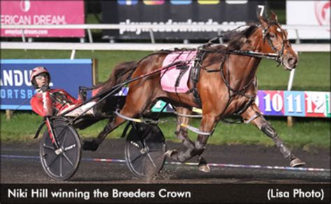 Crown Champ Niki Hill Back In Action Standardbred Canada