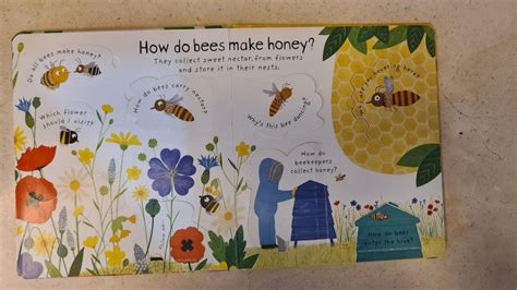 Usborne Why Do We Need Bees Hobbies And Toys Books And Magazines